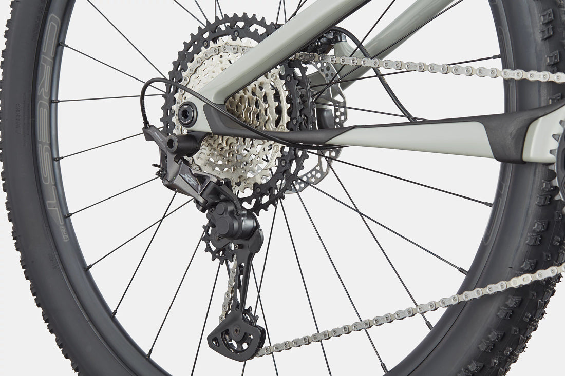 Scalpel Carbon 3 Cannondale 2024 Tiger Shark #6
