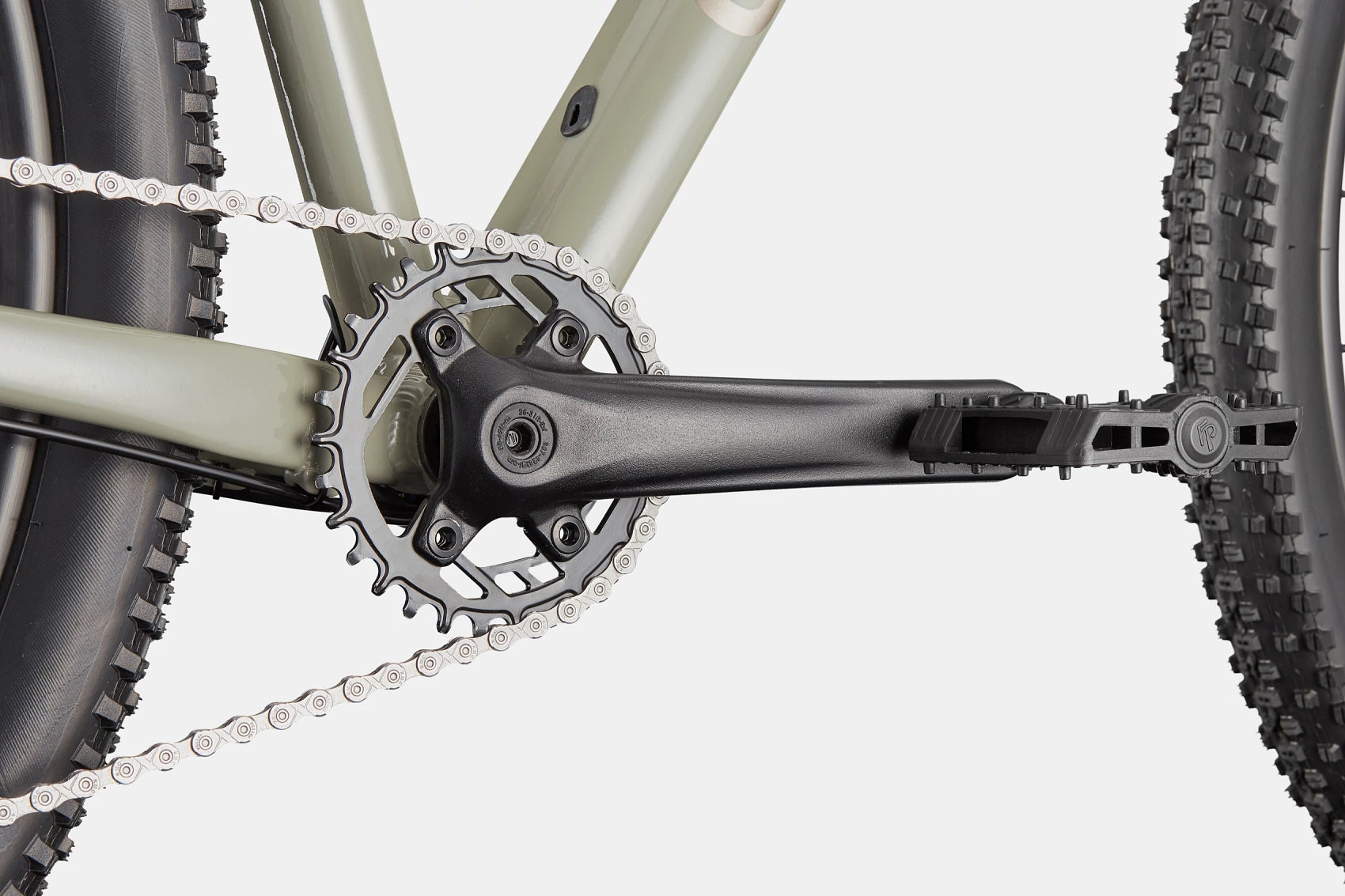 Trail 1 Cannondale 2025 Tiger Shark #5