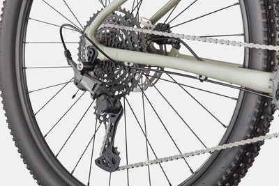 Trail 1 Cannondale 2025 Tiger Shark #6