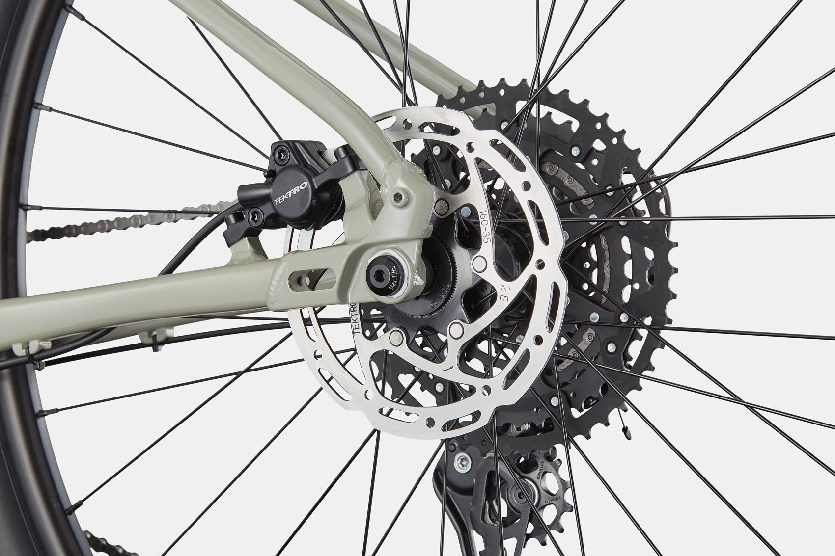 Trail 1 Cannondale 2025 Tiger Shark #7