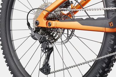 Moterra Neo 4 Cannondale 2025 Tiger Eye #6